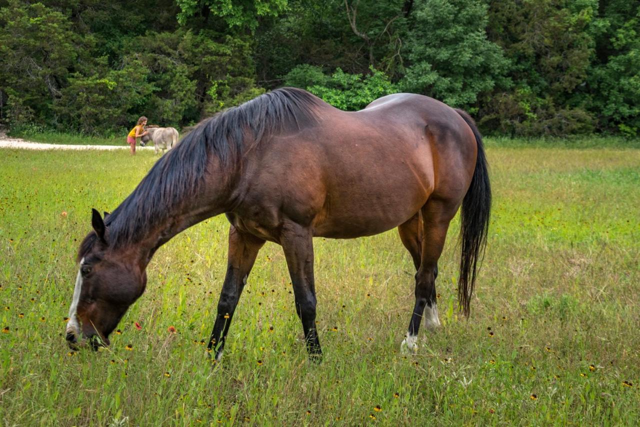 Country Woods Inn غلين روز المظهر الخارجي الصورة